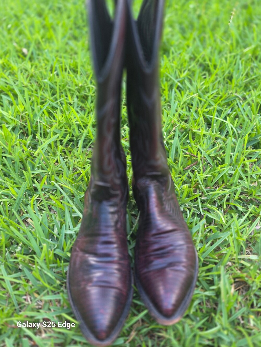 Mens  J. Chisholm Leather Burgundy Cowboy Boots, Style 8973, Men's 10D